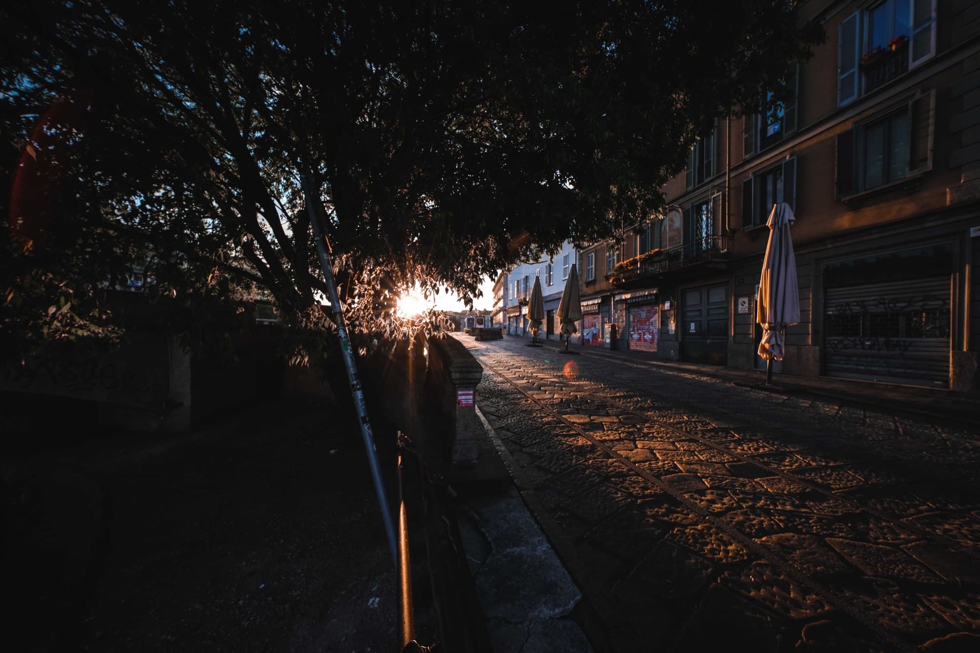 Quiet cobblestone street at dawn, sunlight filtering through trees onto an empty road